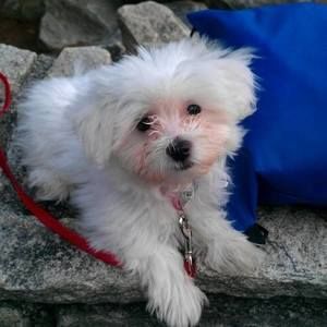 Meet your Posher, Calvin